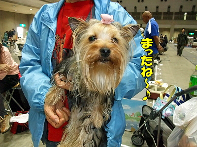 ¥¢¥¸¥¢¥¤¥ó¥¿¡¼2009¡Ê¸åÊԡ˳