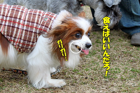³§¤Ë¡¦¡¦¡¦©