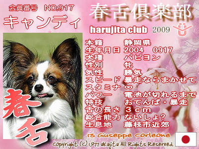 917-candy-2009haru