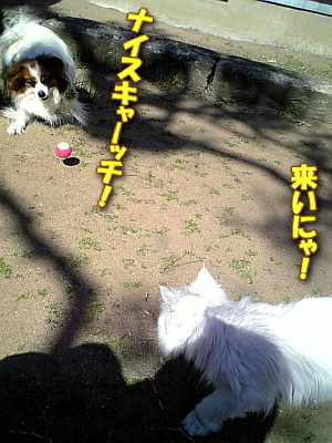 Í褤¤Ë¤ã¡ª
