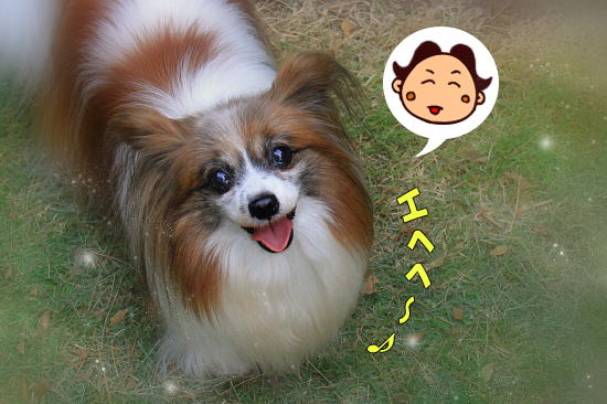 ¡Ú¥µ¥¶¥ª¥Õ2011¡Û part7¡¡06