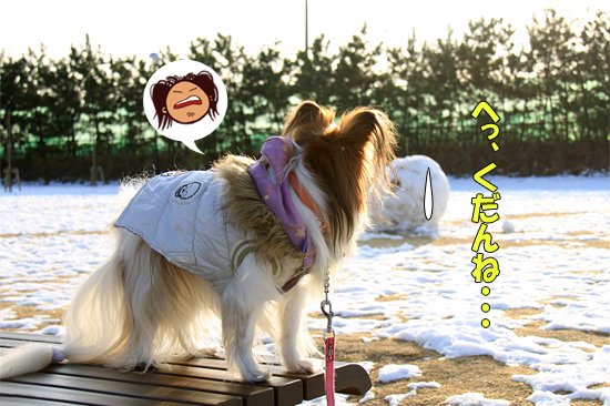 ¥µ¥¶¤À¤ë¤Þ¡¡07