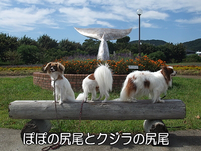 ¾¡±º¥ª¥ó¥é¥¤¥ó⑨