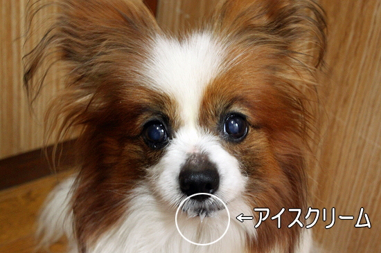¸ª¤¬Äˤ±¤ê¤ã¥¢¥¤¥¹¥¯¥ê¡¼¥à¢ö©