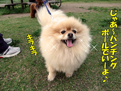 ¥À¥ë¥Þ¤¸¤ã¤Ê¤¤¡ªª