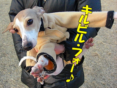 ¤ä¤Ã¤Á¤Þ¤¤¤Ê¡ª¦