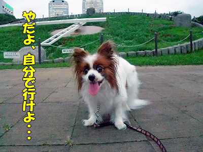 Êó½·¥