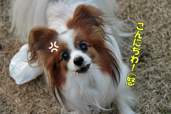 ¤³¤ó¤Ë¤Á¤ï¡¢¡¢¡¢¡¡09