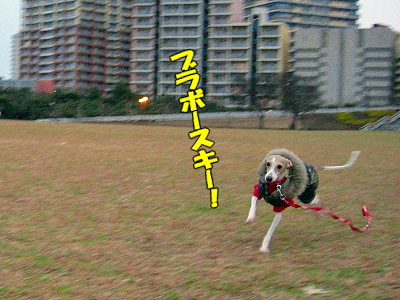 ¥¢¥í¥¢¥Þ¥Þ¤òõ¤»¡ª£