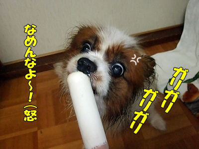 É÷Ϥ¾å¤¬¤ê¤ÎÌëÃæ¤Ë¨