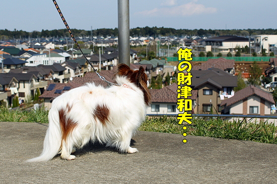 Wiki»¶Êâ¢öª