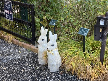 9820D384-796E-49D8-B154-A20FFA9943FB