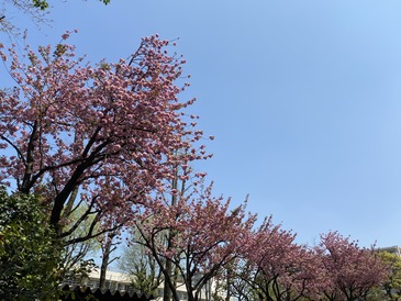 1FB62D38-BA06-46FF-96AA-1A699755E0AC