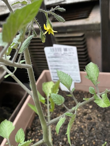 7023CB66-9860-408E-BB45-35B922F4C870