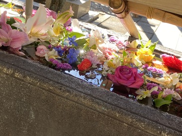 C04FAC94-86BA-4291-9DF5-F807394F28FC