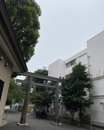 C3015556-ABF1-401A-AC55-8F31559F8A0A