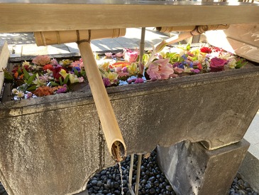 F5AEDDE1-B83C-401B-94D1-9851C3600BF8