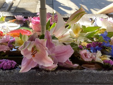 DE02FF8E-311D-4F62-A3A8-C07FF2C5B639