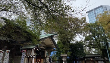 50817765-EDA3-418B-A21E-F24A7687C5C9