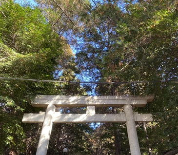 3E21C589-AF18-4564-9EF4-92DC18A79231