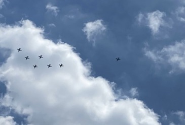 1C0F595A-F351-43D1-BB31-39769EC2CC70