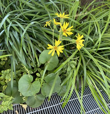 EF755A69-C45B-4609-A77A-042B924D0CD6