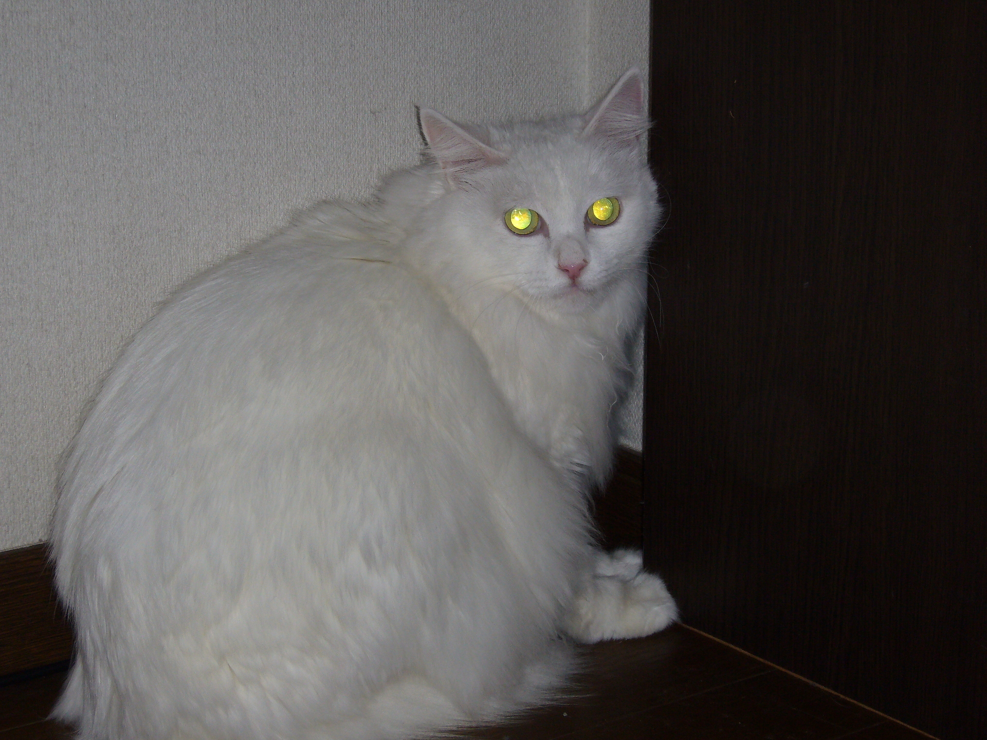 はじめましてmarieです Marie姫のブログ