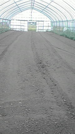 2011091715490000