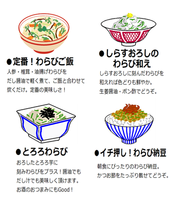 ���ӥ�˥塼����