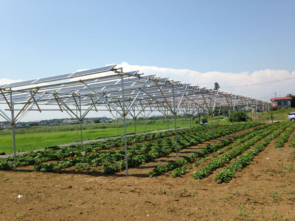 solarshare1