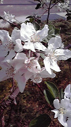 2010050508470001