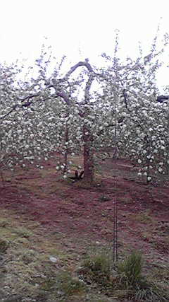2011050514220000