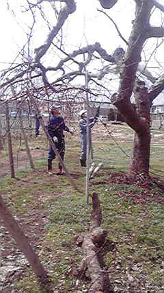 2012033013050000