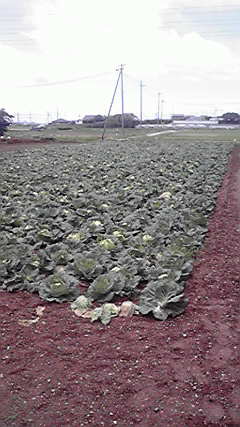 2011052413150000