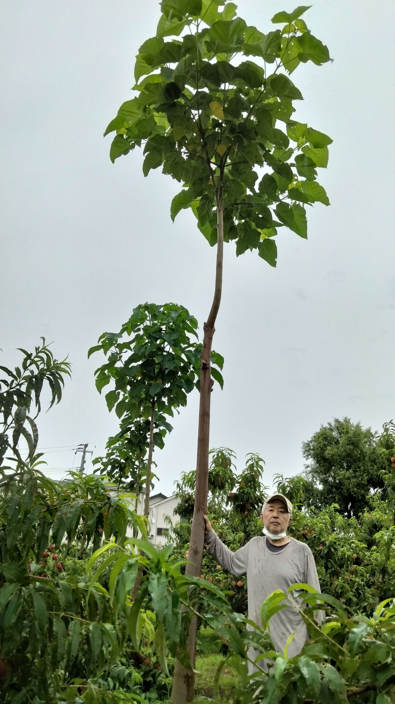 IMG20230715091657