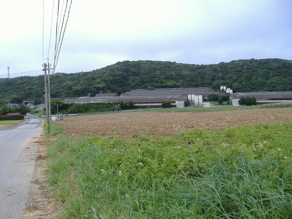 ²èÁüÀ¥¸Í»áÇÀºîʪ 142