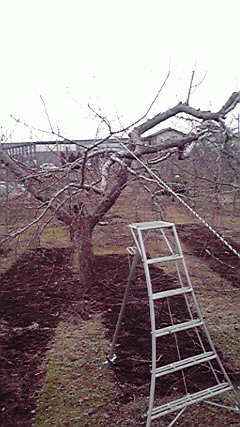 2011021714050000