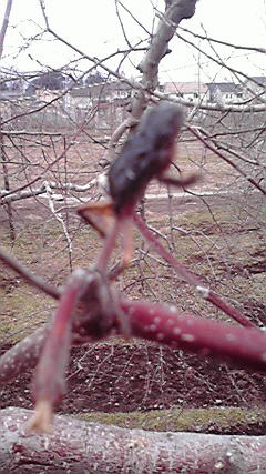 2011021713580000
