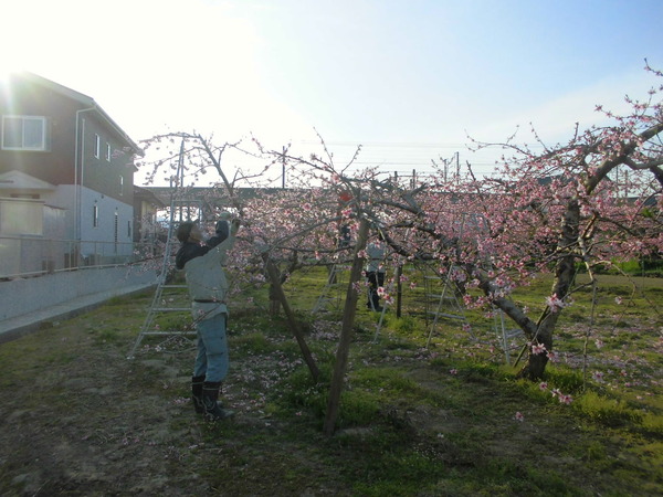 CIMG0486