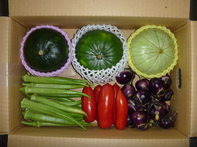 2011_0921_093615-P1000554