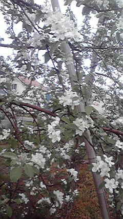 2012050114500000