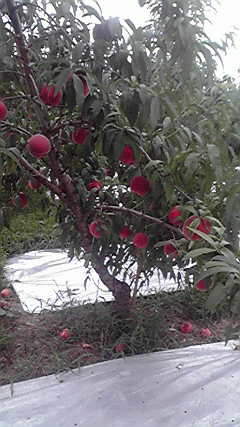 2011082714110000