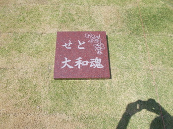 DSCN0015