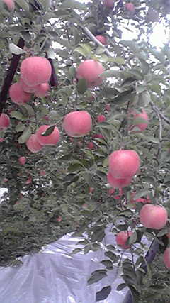 2011101915210000