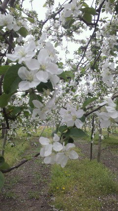 2013050110560000