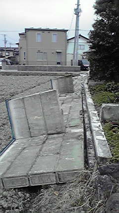 2011031508060001