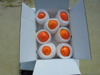 CIMG0299