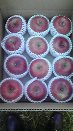 2010112113280000