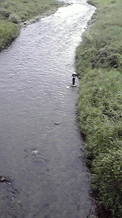 2010072516240000