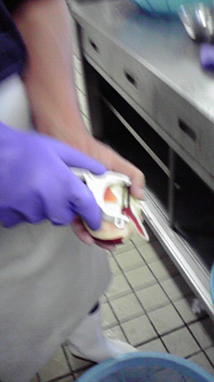 2010081110330000